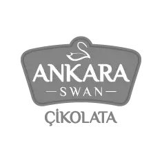 Ankara Swan Çikolata logo tasarımı